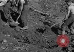 Standbild Gestapo Opfer exhumiert Polygone Frankreich, 1944, aus Sekunde 28 historischem Filmmaterial Videoclip 65675049516