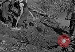 Standbild Gestapo Opfer exhumiert Polygone Frankreich, 1944, aus Sekunde 30 historischem Filmmaterial Videoclip 65675049516