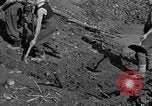 Standbild Gestapo Opfer exhumiert Polygone Frankreich, 1944, aus Sekunde 31 historischem Filmmaterial Videoclip 65675049516