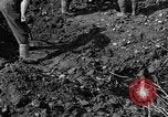 Standbild Gestapo Opfer exhumiert Polygone Frankreich, 1944, aus Sekunde 34 historischem Filmmaterial Videoclip 65675049516