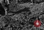 Standbild Gestapo Opfer exhumiert Polygone Frankreich, 1944, aus Sekunde 35 historischem Filmmaterial Videoclip 65675049516