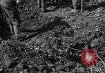 Standbild Gestapo Opfer exhumiert Polygone Frankreich, 1944, aus Sekunde 36 historischem Filmmaterial Videoclip 65675049516