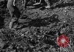 Standbild Gestapo Opfer exhumiert Polygone Frankreich, 1944, aus Sekunde 43 historischem Filmmaterial Videoclip 65675049516