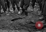 Standbild Gestapo Opfer exhumiert Polygone Frankreich, 1944, aus Sekunde 50 historischem Filmmaterial Videoclip 65675049516