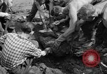 Standbild Gestapo Opfer exhumiert Polygone Frankreich, 1944, aus Sekunde 51 historischem Filmmaterial Videoclip 65675049516