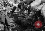 Standbild Gestapo Opfer exhumiert Polygone Frankreich, 1944, aus Sekunde 53 historischem Filmmaterial Videoclip 65675049516