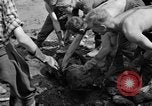 Standbild Gestapo Opfer exhumiert Polygone Frankreich, 1944, aus Sekunde 55 historischem Filmmaterial Videoclip 65675049516