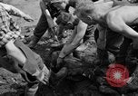 Standbild Gestapo Opfer exhumiert Polygone Frankreich, 1944, aus Sekunde 58 historischem Filmmaterial Videoclip 65675049516