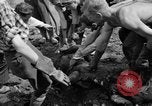 Standbild Gestapo Opfer exhumiert Polygone Frankreich, 1944, aus Sekunde 61 historischem Filmmaterial Videoclip 65675049516