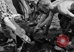 Standbild Gestapo Opfer exhumiert Polygone Frankreich, 1944, aus Sekunde 62 historischem Filmmaterial Videoclip 65675049516