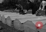 Image cercueils Grenoble France, 1944, de la seconde 41 séquences d'archives historiques vidéo 65675049517