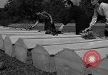 Image cercueils Grenoble France, 1944, de la seconde 44 séquences d'archives historiques vidéo 65675049517
