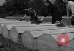 Image cercueils Grenoble France, 1944, de la seconde 45 séquences d'archives historiques vidéo 65675049517