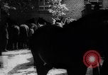 Immagine di Equitazione Germania, 1944, secondo 27 filmato di repertorio 65675049530