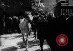 Immagine di Equitazione Germania, 1944, secondo 28 filmato di repertorio 65675049530