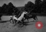 Immagine di Equitazione Germania, 1944, secondo 34 filmato di repertorio 65675049530