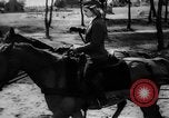 Immagine di Equitazione Germania, 1944, secondo 59 filmato di repertorio 65675049530