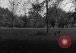 Image États-Unis 99e Division d'infanterie Neustadt Allemagne, 1945, de la seconde 36 séquences d'archives historiques vidéo 65675049537