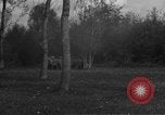 Image États-Unis 99e Division d'infanterie Neustadt Allemagne, 1945, de la seconde 57 séquences d'archives historiques vidéo 65675049537