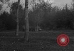 Image États-Unis 99e Division d'infanterie Neustadt Allemagne, 1945, de la seconde 58 séquences d'archives historiques vidéo 65675049537