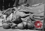 Image of concentration camp Buchenwald Germany, 1945, second 23 stock footage video 65675049542