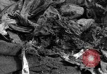 Image of Russian soldier Reims France, 1945, second 30 stock footage video 65675049543