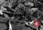 Image of Russian soldier Reims France, 1945, second 31 stock footage video 65675049543