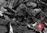 Image of Russian soldier Reims France, 1945, second 32 stock footage video 65675049543