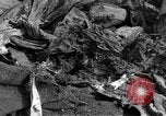 Image of Russian soldier Reims France, 1945, second 34 stock footage video 65675049543