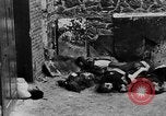 Standbild FFI round up Mitarbeiter Paris Frankreich, 1944, aus Sekunde 61 historischem Filmmaterial Videoclip 65675049547