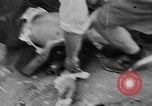 Standbild Französische Streitkräfte des Inneren Paris Frankreich, 1944, aus Sekunde 16 historischem Filmmaterial Videoclip 65675049548