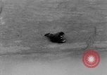 Standbild Alliierten Paris Frankreich, 1944, aus Sekunde 14 historischem Filmmaterial Videoclip 65675049549
