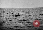 Image of derelict Atlantic Ocean, 1935, second 46 stock footage video 65675049558
