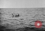 Image of derelict Atlantic Ocean, 1935, second 47 stock footage video 65675049558