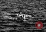 Image of United States Coast Guard Atlantic Ocean, 1935, second 62 stock footage video 65675049562