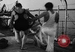 Image of United States Coast Guard Atlantic Ocean, 1935, second 36 stock footage video 65675049563