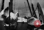 Image of seal patrol Pacific Ocean, 1935, second 11 stock footage video 65675049565