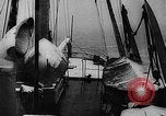 Image of seal patrol Pacific Ocean, 1935, second 13 stock footage video 65675049565