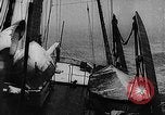 Image of seal patrol Pacific Ocean, 1935, second 14 stock footage video 65675049565