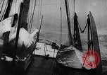 Image of seal patrol Pacific Ocean, 1935, second 15 stock footage video 65675049565