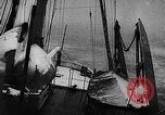 Image of seal patrol Pacific Ocean, 1935, second 16 stock footage video 65675049565