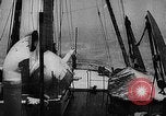Image of seal patrol Pacific Ocean, 1935, second 17 stock footage video 65675049565