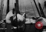 Image of seal patrol Pacific Ocean, 1935, second 18 stock footage video 65675049565