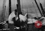 Image of seal patrol Pacific Ocean, 1935, second 19 stock footage video 65675049565