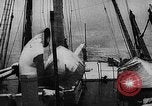 Image of seal patrol Pacific Ocean, 1935, second 20 stock footage video 65675049565