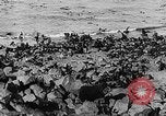 Image of seal patrol Pacific Ocean, 1935, second 23 stock footage video 65675049565