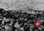 Image of seal patrol Pacific Ocean, 1935, second 27 stock footage video 65675049565