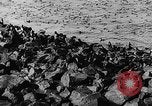 Image of seal patrol Pacific Ocean, 1935, second 29 stock footage video 65675049565