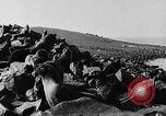 Image of seal patrol Pacific Ocean, 1935, second 33 stock footage video 65675049565