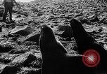 Image of seal patrol Pacific Ocean, 1935, second 43 stock footage video 65675049565